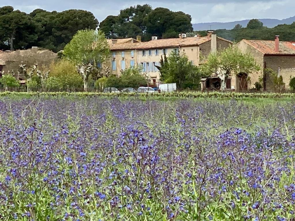 Bed and Breakfast Le Relais D'Affiac Peyriac-Minervois Exterior foto