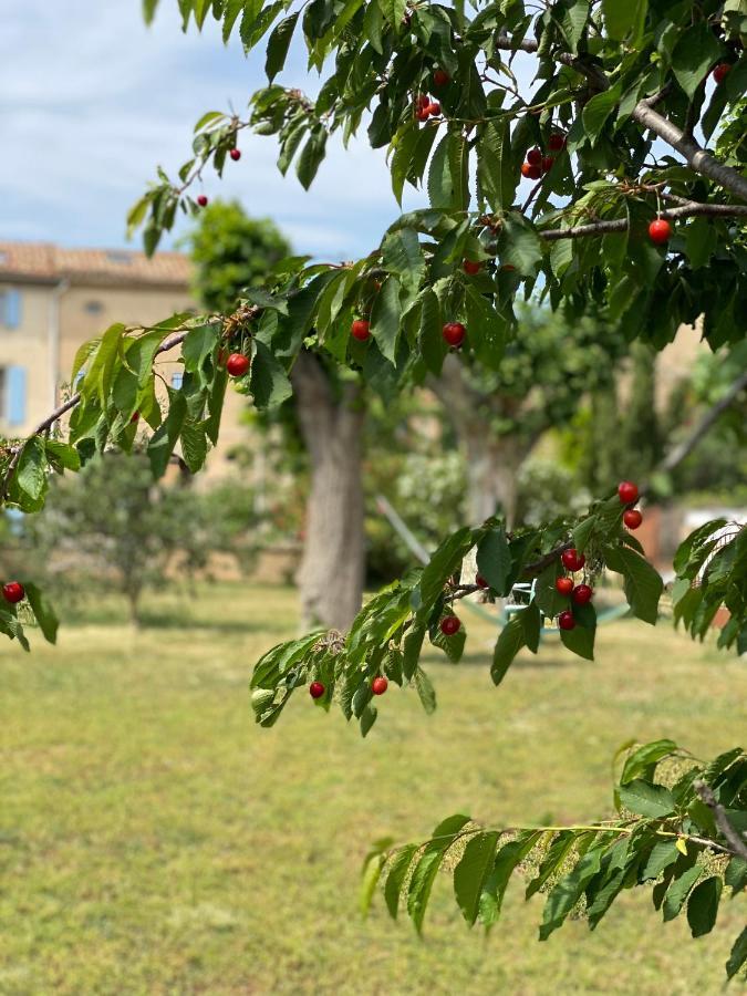 Bed and Breakfast Le Relais D'Affiac Peyriac-Minervois Exterior foto